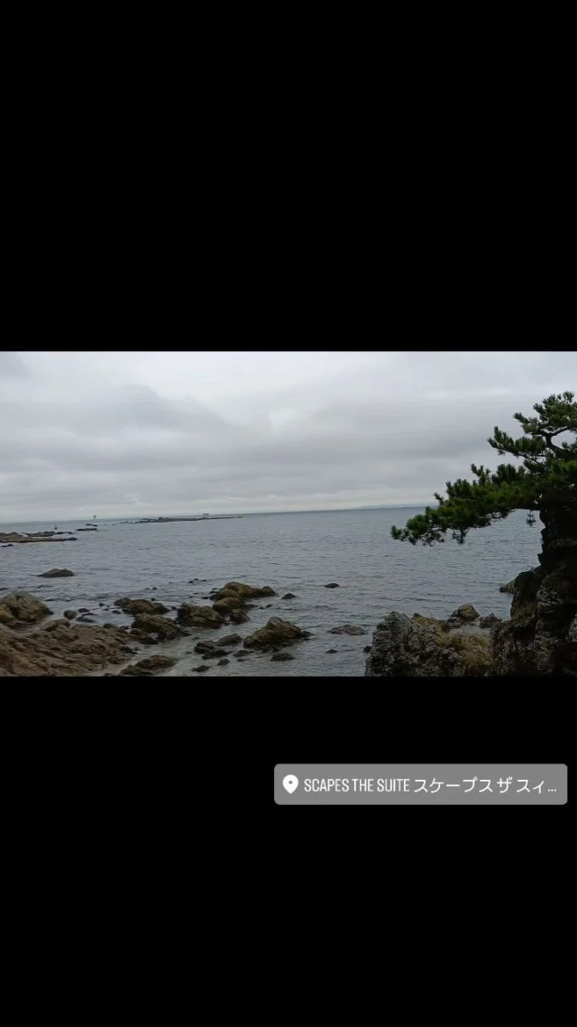 休日はパートナーと大好きな葉山へ
海外や森戸神社でお参りしたあとは、行きたかったスケープスザスイート@scapes_the_suite へ。

食事中の彼との会話の議題はのひとつは「愛と恋」について（笑）過去のパートナーとは離別と死別というお別れをしている私たち。夫を愛していてお別れした私と、すれ違いが重なりお別れしていながらも今でも元伴侶の幸せは願っている彼。色々な経験をしているからこその、それぞれもっている「愛と恋」の価値観。
たっぷり2時間美味しい食事をいただきながら話をしました。

なによりも、お付き合いする相手の条件で1番大切なのは「会話、話し合いができること」
会話を重ねていくことでお互いの情報が増えていき、それが信頼、愛に変化していきます

‾‾‾‾‾‾‾‾‾‾‾‾‾‾‾‾‾‾‾‾‾‾‾‾‾‾‾‾‾‾‾‾‾‾
湘南の小さな結婚相談所 cocorocafe 
♡湘南在住者はお得なコースあり
♡看護師・保育士・医療従事者コース
あり
 ♡全国対応もしております

‾‾‾‾‾‾‾‾‾‾‾‾‾‾‾‾‾‾‾‾‾‾‾‾‾‾‾‾‾‾‾‾‾‾

#結婚相談所#婚活#婚活女子 #婚活男子#アラサー婚活#アラフォー婚活#アラフィフ婚活#湘南婚活#看護師#看護師婚活#保育士#保育士婚活#婚活迷子#マッチングアプリ#婚活疲れ#婚活パーティー#婚活アプリ#結婚したい#湘南#湘南出会い#ゴルフ#メイク#ランチ#キャンプ#サーフィン#車#婚活女子と繋がりたい#婚活中の人と繋がりたい#失恋#恋愛